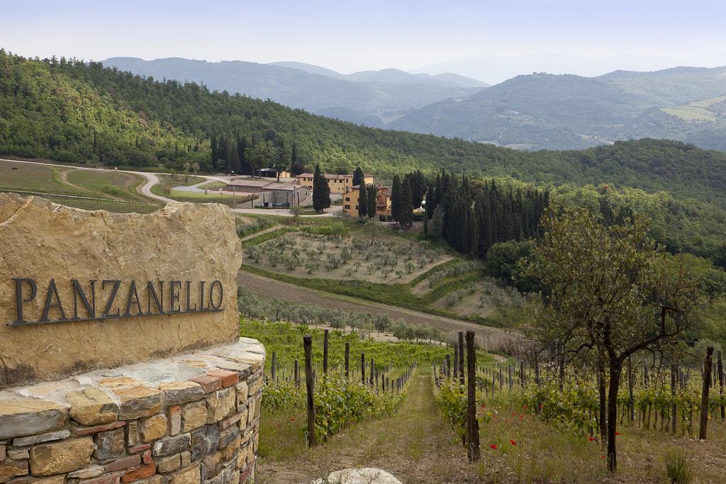 Agriturismo Panzanello Панцано Экстерьер фото